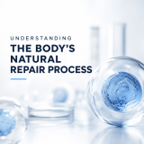 Understanding the Body’s Natural Repair Process